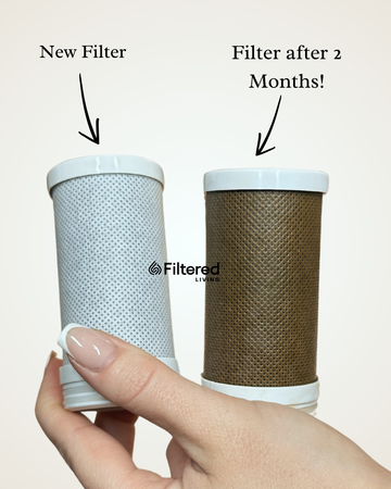 Filter Replacement.